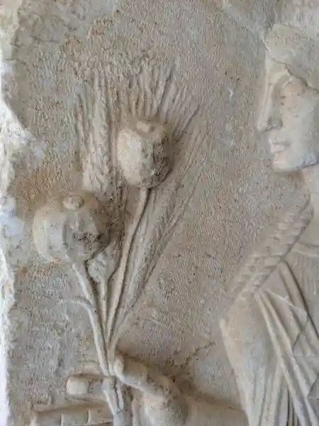 Close-up of carved grain stalks held by deity on Roman archaistic marble relief